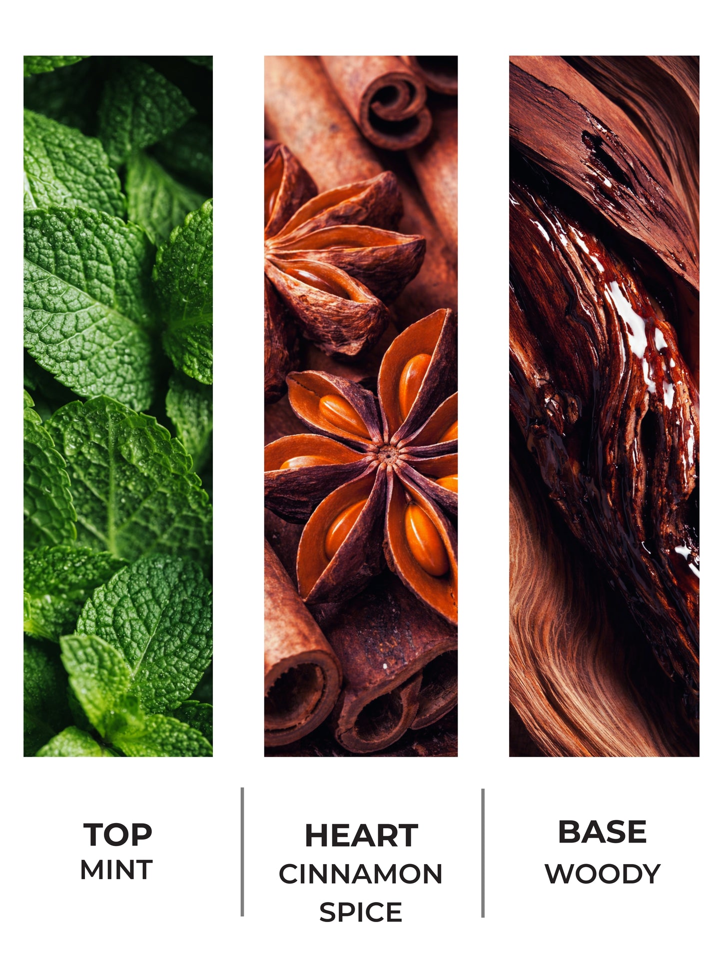Woody Spice 30ml
