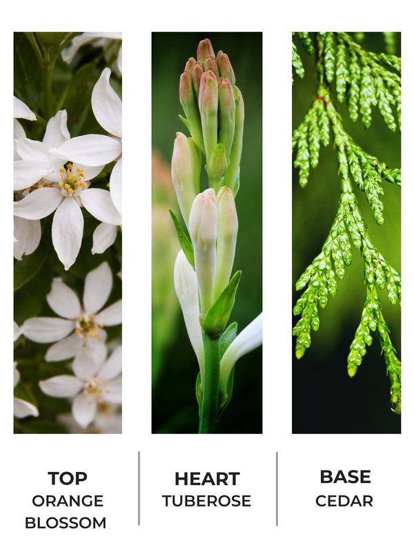 Fresh Tuberose 30ml