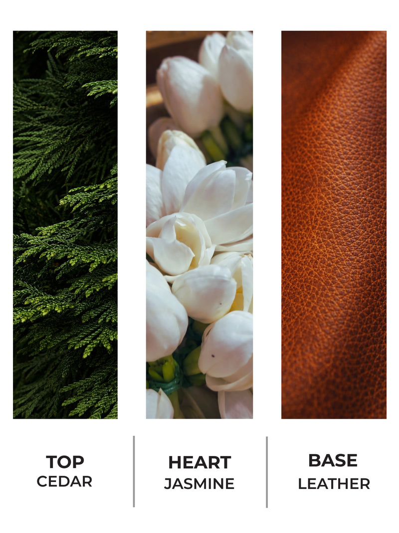 Leather Woods